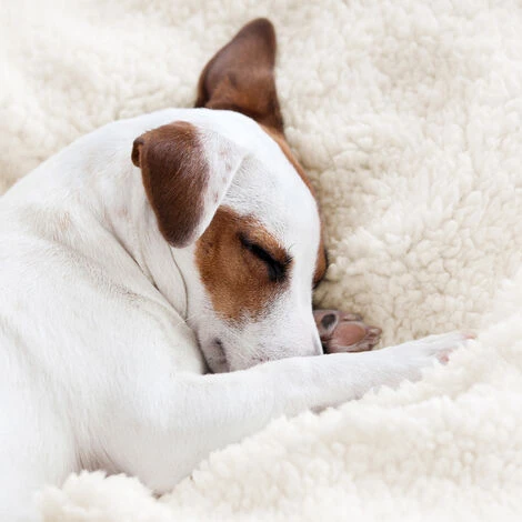 Beautissu Alina Plaid Sherpa Plaid Doux XXL 200cm, 150cm, Beige-blanc â Image 5